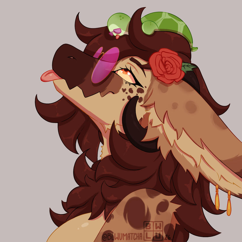 Bondo Ref BWLUMATCHA